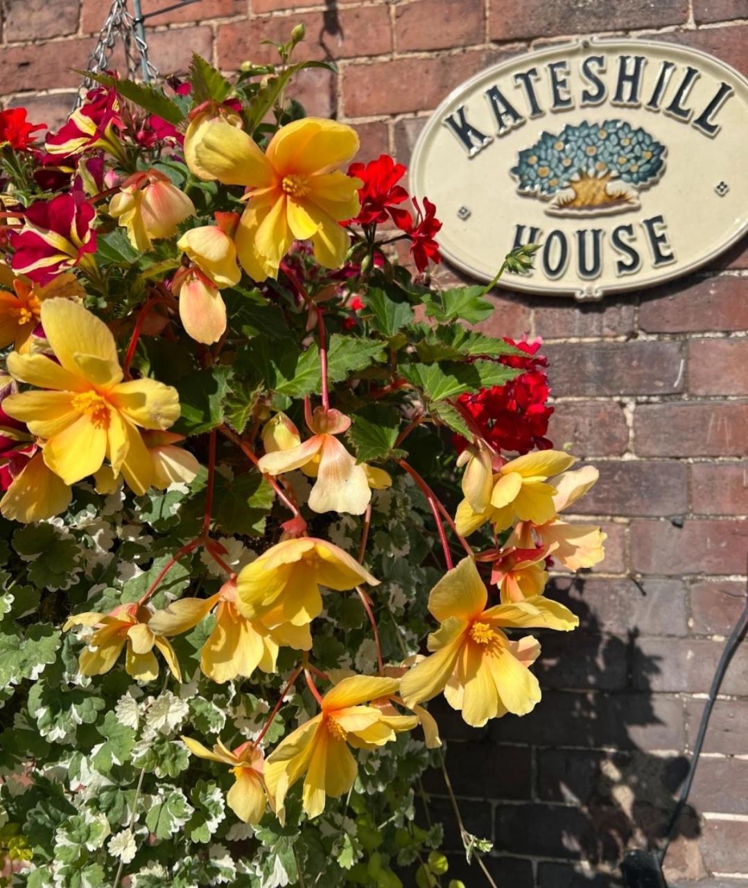 Kateshill House Bed & Breakfast Bewdley Luaran gambar